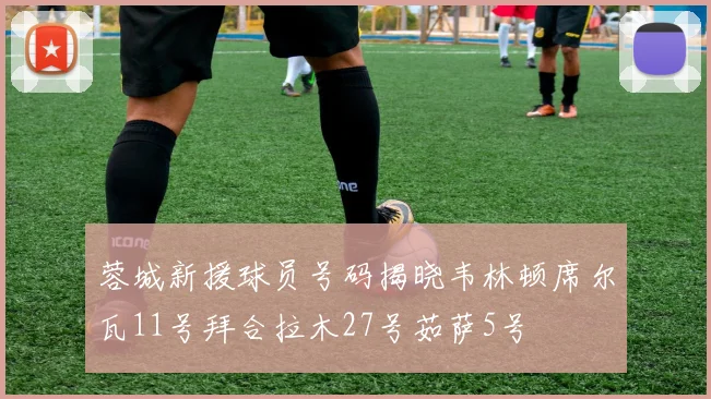 蓉城新援球员号码揭晓韦林顿席尔瓦11号拜合拉木27号茹萨5号