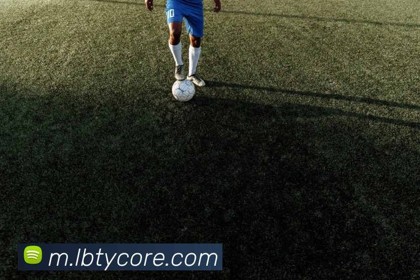 App Interface Preview